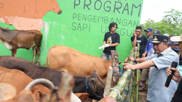 Penjabat Gubernur Sulsel, Bahtiar Baharuddin, berkunjung ke Desa Palambarae, Kecamatan Gantarang, Kabupaten Bulukumba, Minggu, 4 Februari 2024.
