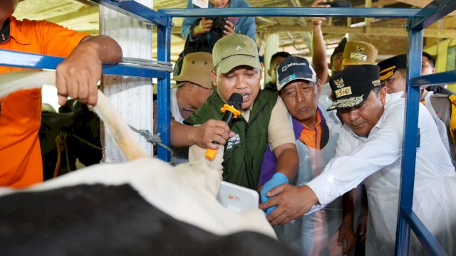 Pj Gubernur Sulsel, Bahtiar Baharuddin, menyaksikan proses Inseminasi Buatan (IB), di Desa Cendana, Kecamatan Cendana, Kabupaten Enrekang, Senin, 19 Februari 2024. 