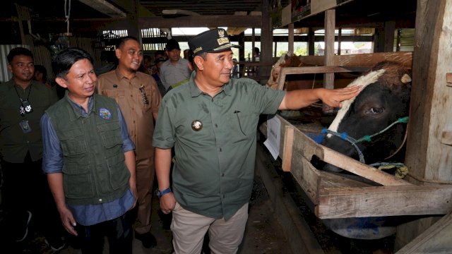 Setelah dilakukan di beberapa daerah di Sulsel, IB gratis untuk para peternak juga menyasar Kabupaten Sidrap dan Barru.
