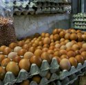 Harga Telur Melonjak di 199 Daerah