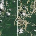 Soroti Pembangunan IKN dari Satelit, NASA Singgung Kekhawatiran Ilmuwan