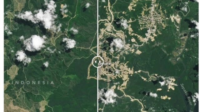 Melalui laman Earth Observatory, NASA mengunggah foto "Before After" pembangunan Ibu Kota Nusantara (IKN) di&nbsp;Kalimantan. 