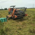 Sulsel Masuk 10 Besar Produsen Beras Tertinggi Nasional