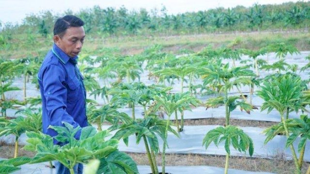Wakil Ketua DPRD Sulsel Syaharuddin Alrif