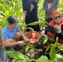 Erna Rasyid Taufan Beli dan Petik Sendiri Kunyit Petani Kurang Mampu di Parepare