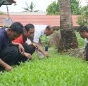 Berkebun Jadi Sarana Terapi ODGJ Latih Kemandirian