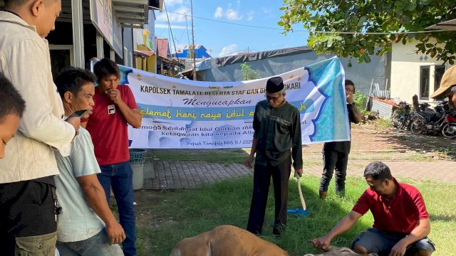Idul Adha 2024, Karyawan Mercure Makassar Nexa Pettarani Sumbang Seekor Sapi 