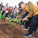 Gerakan Sulsel Menanam, Prof Zudan Serahkan Bantuan Bibit Tanaman Hortikultura untuk Petani di Kabupaten Gowa