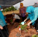 Pj Ketua TP PKK Sulsel Ninuk Triyanti Zudan Resmikan Taman Herbal Makassar