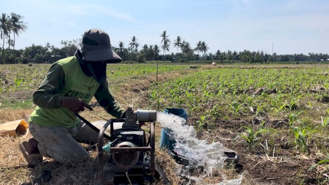 Listrik Hijau PLN, Mampu Tekan Biaya Operasional Petani hingga 83%