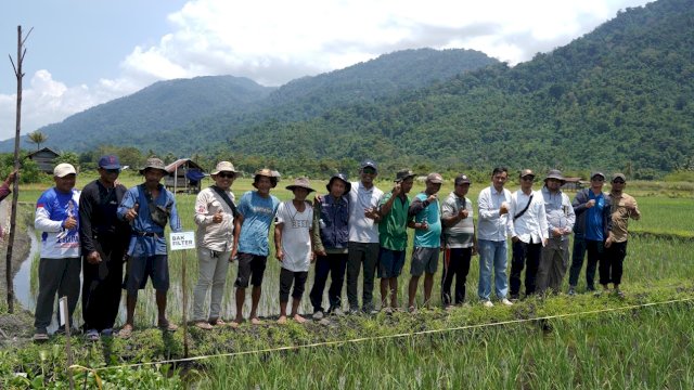 PT Vale Wujudkan Pertanian Berkelanjutan dan Berkualitas di Morowali Lewat Pertanian Organik