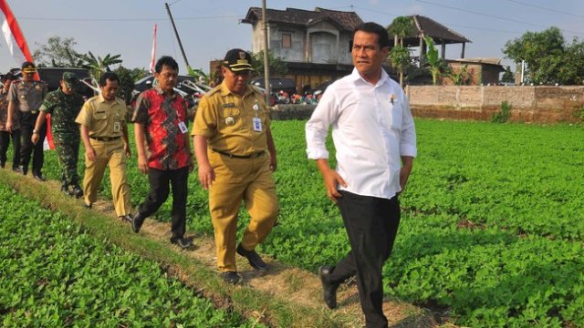 Mentan Andi Amran Sulaiman