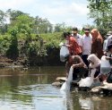 Jadi Atensi Prof Zudan, Pemprov Sulsel Telah Salurkan 5 Juta Bibit Bantuan Benih Perikanan