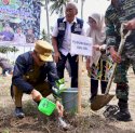 Program Sulsel Menanam Capai 12,5 Juta Lebih Pohon di Hutan Rakyat, Daerah Aliran Sungai Hingga Kebun Bibit Rakyat