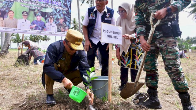 Program Sulsel Menanam Capai 12,5 Juta Lebih Pohon di Hutan Rakyat, Daerah Aliran Sungai Hingga Kebun Bibit Rakyat