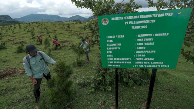 Hadirkan Masa Depan Berkelanjutan, PT Vale Dukung Rehabilitasi DAS di Sulawesi Selatan