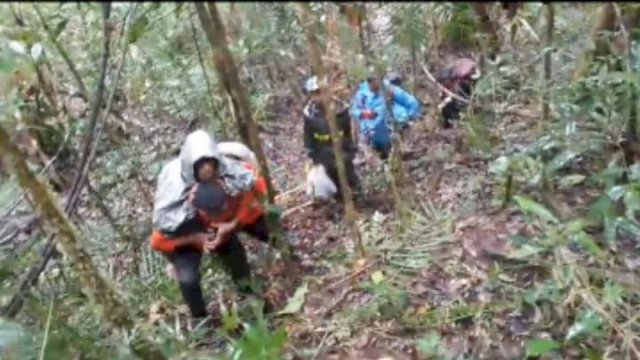 Hilang di Hutan Seko Lutra Selama 5 Hari, Salmon Akhirnya Ditemukan Dengan Kondisi Lemah