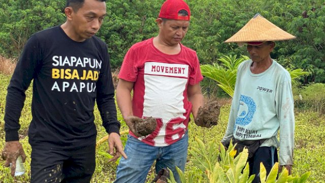 Bupati Kabupaten Sidrap Periode 2024-2029, Syaharuddin Alrif