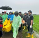 Pelaku Pembunuhan Remaja di Persawahan Gowa Ternyata Orang Terdekat