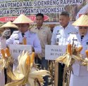 Panen Raya Jagung Bersama PT Syngenta Indonesia, Sambut Kedatangan Bupati dan Wakil Bupati Sidrap
