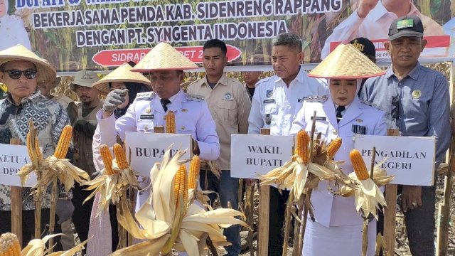 Bupati dan Wakil Bupati Sidrap H. Syaharuddin Alrif dan Nurkana'ah menyaksikan panen raya sekaligus penanaman jagung di Desa Mattirotasi, Kecamatan Watang Pulu, Kabupaten Sidrap, Sabtu (01/03/2025)
