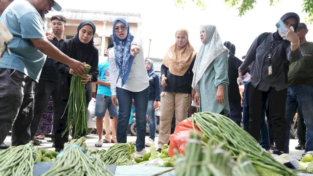 Bupati Kabupaten Gowa, Sitti Husniah Talenrang