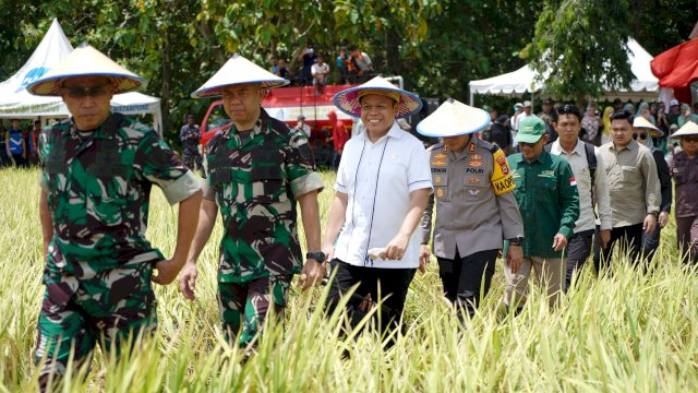 Wakil Ketua DPRD Sulawesi Selatan Yasir Machmud