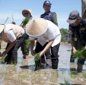 Wali Kota Makassar Munafri Arifuddin Pimpin Gerakan Tanam Padi Serentak Dukung Swasembada Pangan