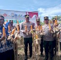 Polres Gowa Panen Raya Jagung Dukung Program Ketahanan Pangan