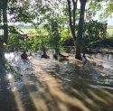 Furqan, Balita 3 Tahun yang Terseret Arus di Sungai Wala, Ditemukan Meninggal Dunia
