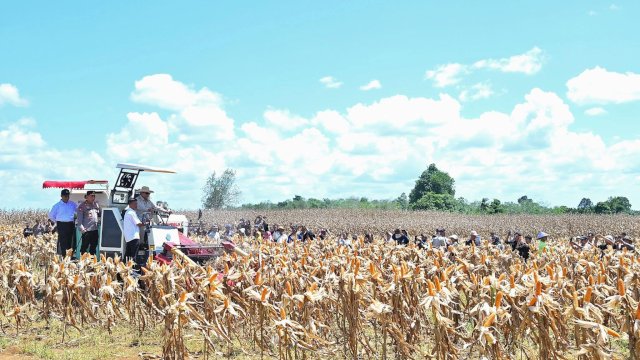 Panen Jagung Kuartal II 2025 Tembus 2,54 Juta Ton, Presiden Prabowo Apresiasi Peran Polri