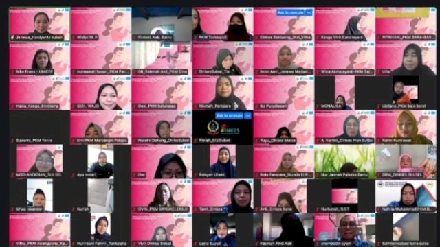  Webinar Updating Pencatatan dan Pelaporan Gizi-KIA di Provinsi Sulawesi Selatan. 