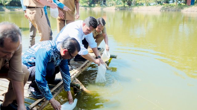Bupati Bantaeng Uji Nurdin Lepas 25 Ribu Benih Ikan Bandeng di Empang Pantai Marina