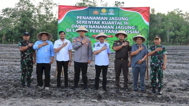 Dukung Ketahanan Pangan, Bupati Pinrang Ikut Tanam Jagung Serentak di Desa Sipatuo