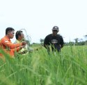 PT Vale Hadirkan Livelihood Restoration Program untuk Dorong Kemandirian Ekonomi Lokal