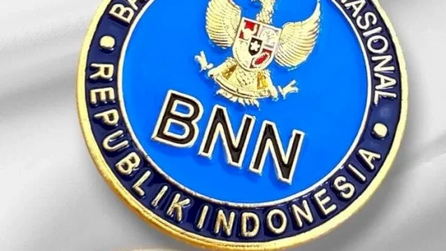 LOGO BNN