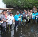 PT Vale Tanam 2.000 Mangrove dan Lakukan Restorasi Terumbu Karang untuk Pulihkan Ekosistem Pesisir Malili