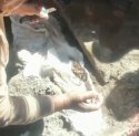 Heboh Penemuan Kain Putih Berisi Tulang di Ujung Tanah Makassar