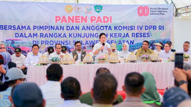 Ketua Komisi IV DPR RI, Siti Hediati Hariyadi atau Titiek Soeharto, dalam kunjungan kerja dan panen raya di Kelurahan Raya, Kabupaten Maros, Selasa (12/8/2025).