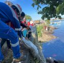 Wujud Komitmen Lingkungan, Pertamina Patra Niaga Gelar Coastal Clean Up di Parepare