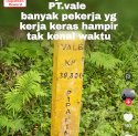 Ramai Warganet di Tiktok Puji Upaya PT Vale Atasi Pipa Bocor: Perusahaan Ini Selalu Bertanggung Jawab