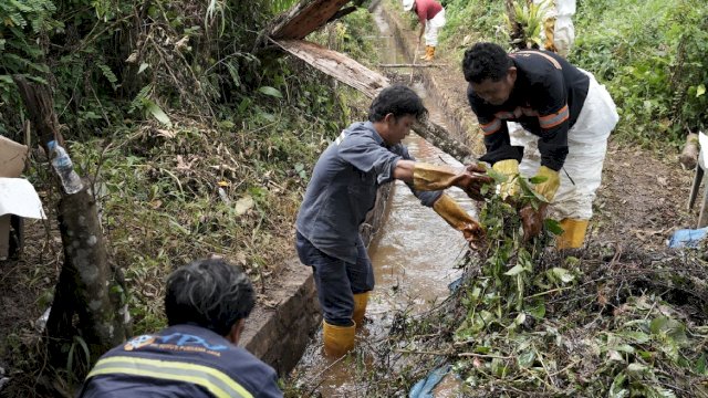 Warga Bersatu Bantu PT Vale Bersihkan Dampak Kebocoran Pipa di Towuti