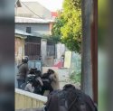 Tawuran Warga di Makassar Diduga Terorganisir, Polisi: Ada Sengaja Buat Makassar Tidak Aman