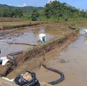 Investigasi Independen Tim Ahli di Towuti: Kebocoran Pipa Minyak Dipicu Geologi, Lingkungan Tetap Aman