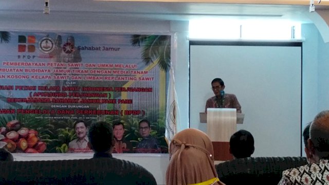 Apkasindo Bersama Sahabat Jamur Kembangkan Potensi UMKM Sawit