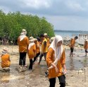 Siswa SMP Athirah Tanam Ratusan Mangrove di Puntondo Takalar