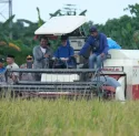  Panen Raya Padi di Bontonompo, Gowa Target Jadi Lumbung Pangan Mandiri 