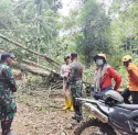 TRC BPBD Sidrap Tinjau Longsor di Leppangeng, 384 KK Terdampak 