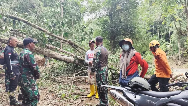 Tim Reaksi Cepat (TRC) Badan Penanggulangan Bencana Daerah (BPBD) Kabupaten Sidrap bersama TNI dan Polri meninjau lokasi bencana longsor di Desa Leppangeng, Kecamatan Pitu Riase, Sabtu (20/12/2025).