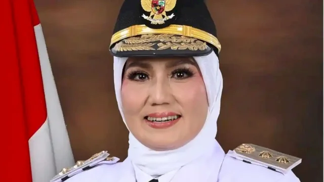  Wakil Gubernur Bangka Belitung (Babel) Hellyana 